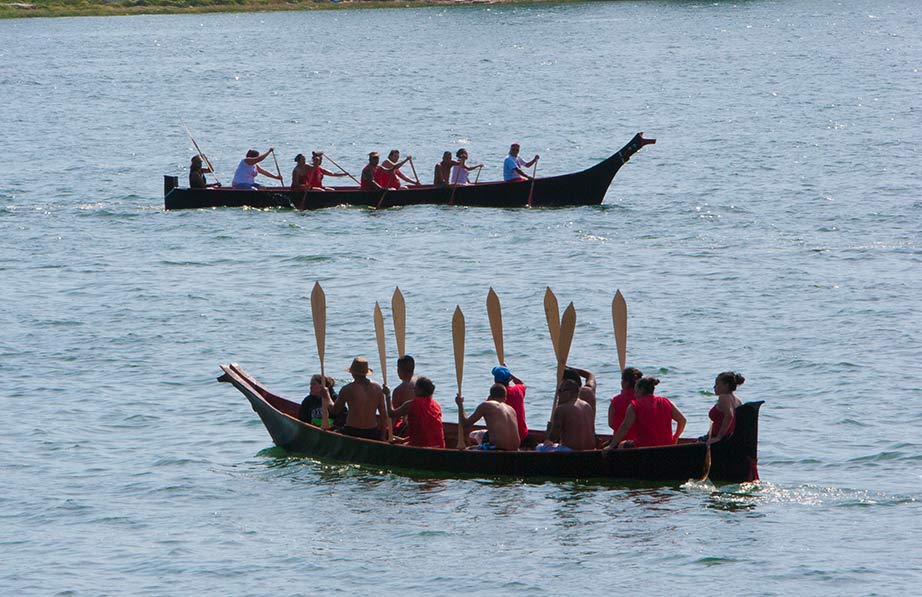 Hibulb Cultural Center education teaching resources Our Ancestral Lands, A Life Built on Stories, and Environment 