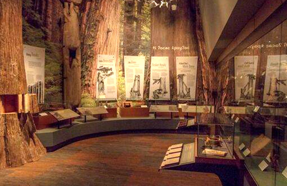 Hibulb Cultural Center and Natural History Preserve exhibits offer interactive displays and introduce visitors to the legacy of the Tulalip people. 