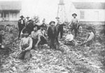 Image: Robert Sheldon Logging Camp